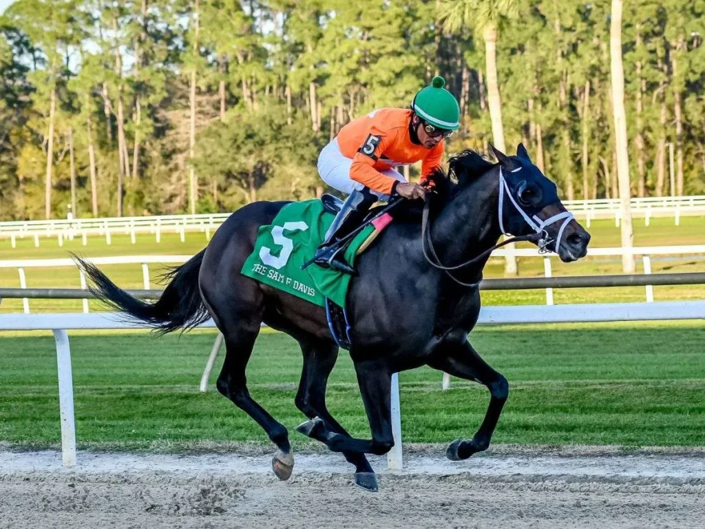 Kikito-gano-su-primer-stakes-en-Santa-Anita-Park.jpg
