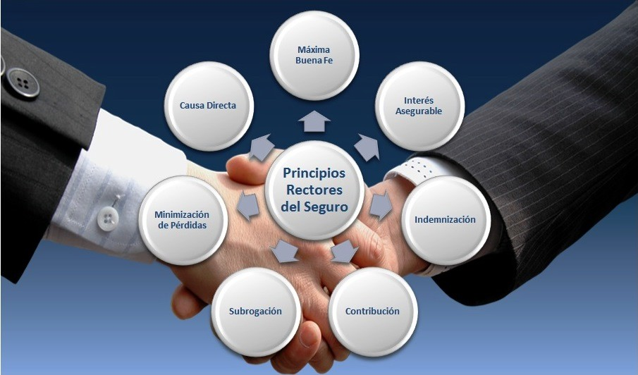 Los-7-principios-del-seguro-por-Hjalmar-Gibelli.png