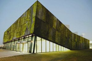 PILPERMIX - Concreto bioreceptivo; El futuro de las fachadas vivas - FOTO