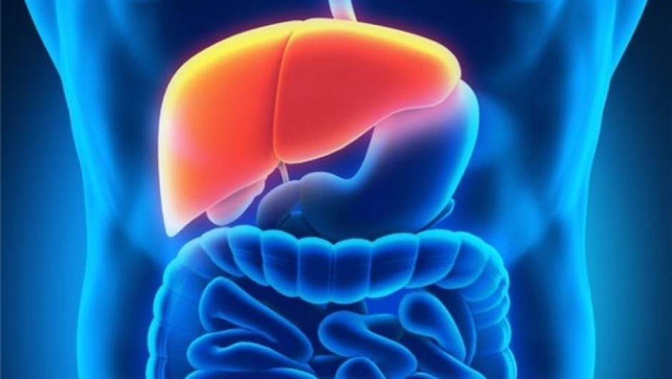 Ejercicio-y-enfermedades-hepaticas-Fisiologia-del-Ejercicio-by-Dr.jpg