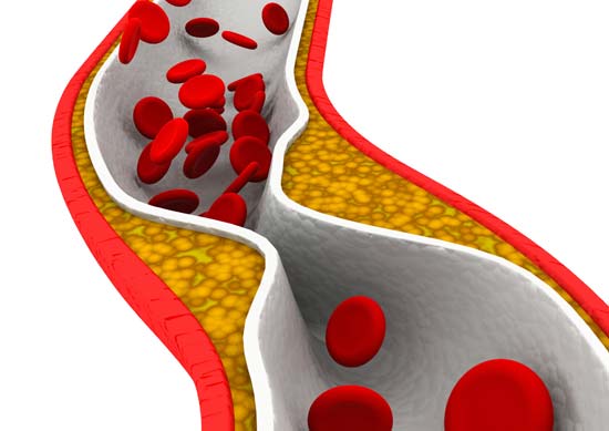 Ejercicio-y-funcion-vascular-Fisiologia-del-Ejercicio-by-Dr.jpg
