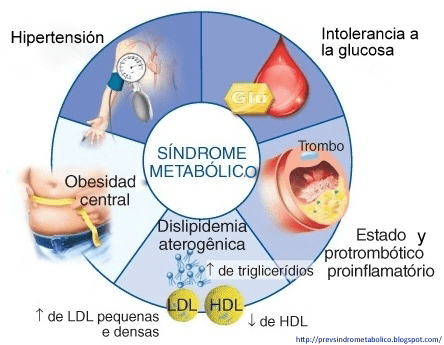 Ejercicio-y-sindrome-metabolico-Fisiologia-del-Ejercicio-by-Dr.png