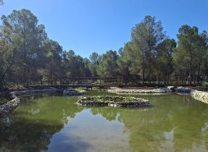 El-interior-de-la-Costa-Blanca-impulsa-su-transformacion-sostenible.jpg