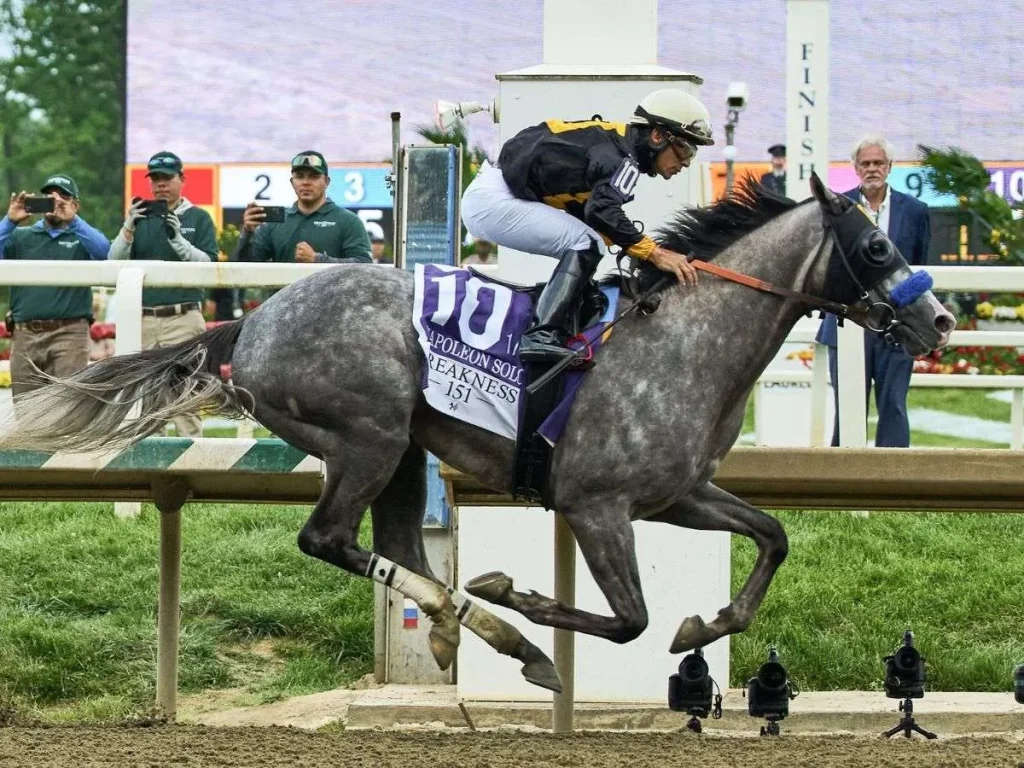 Napoleon-Solo-se-adjudico-el-151°-Preakness-Stakes.jpg