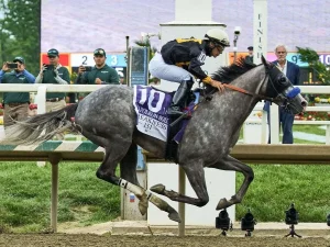 Napoleon-Solo-se-adjudico-el-151°-Preakness-Stakes.jpg