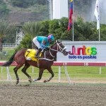 Princesa Fina falló al tener miositis