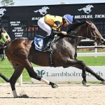 Una tarde de gala en Colonial Downs
