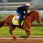 The Puma fue retirado del Derby de Kentucky