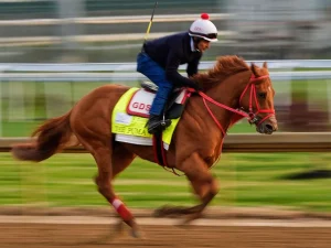 The-Puma-fue-retirado-del-Derby-de-Kentucky.jpg
