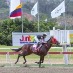 Las mayores ventajas son de Comediante y Tuscan Gold