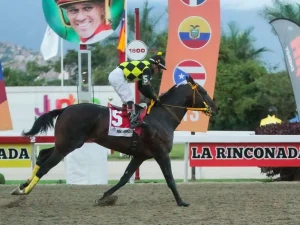 El-INH-esta-dispuesto-a-montar-el-Clasico-del-Caribe.jpg