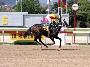 Fast-Sensations-dijo-adios-con-su-ultimo-galope.jpg