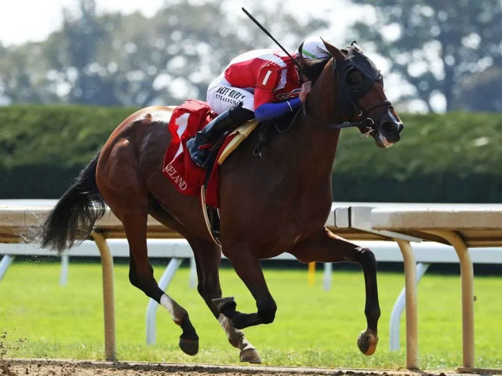 Renegade-es-el-favorito-del-Belmont-Stakes-de-Saratoga.jpg