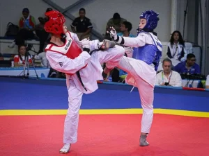 Taekwondo-se-foguea-en-Alemania.jpg