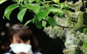 como-la-alimentacion-y-las-plantas-medicinales-pueden-ayudar-a.png