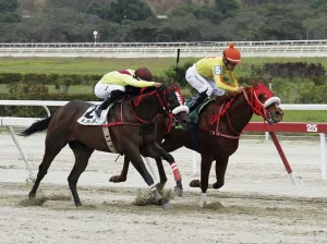 Copa-Union-de-Jinetes-va-en-el-Hipodromo-de-Valencia.jpg