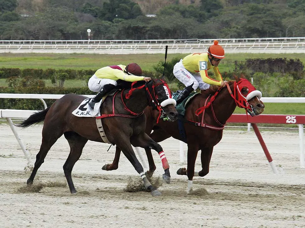 Copa-Union-de-Jinetes-va-en-el-Hipodromo-de-Valencia.jpg