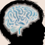 Déficit de hierro sin anemia podría afectar al cerebro adolescente – Salud y Medicina