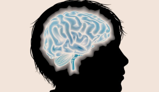 Deficit-de-hierro-sin-anemia-podria-afectar-al-cerebro-adolescente.png