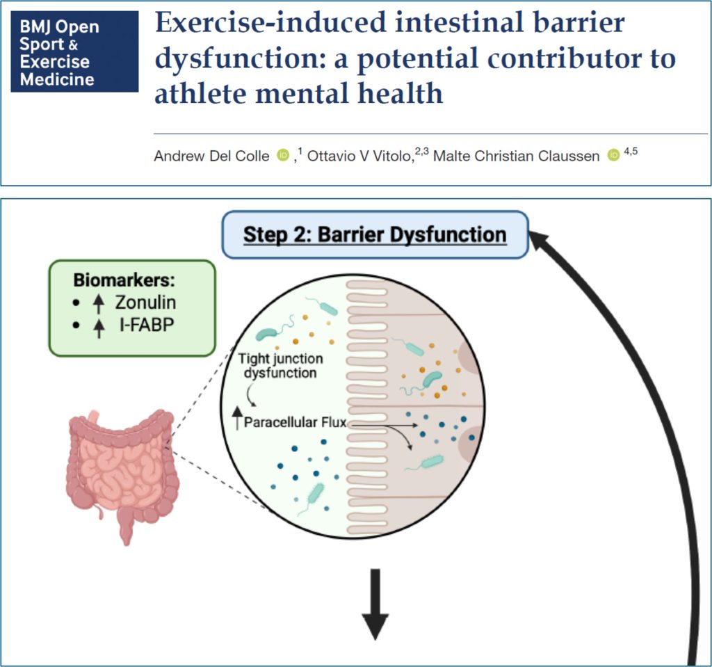 Intestino-y-mente-en-el-atleta.jpg