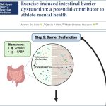 Intestino y mente en el atleta