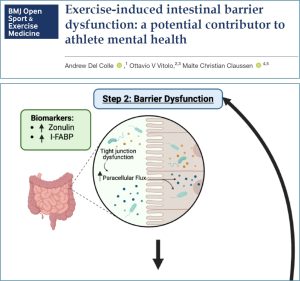 Intestino-y-mente-en-el-atleta.jpg