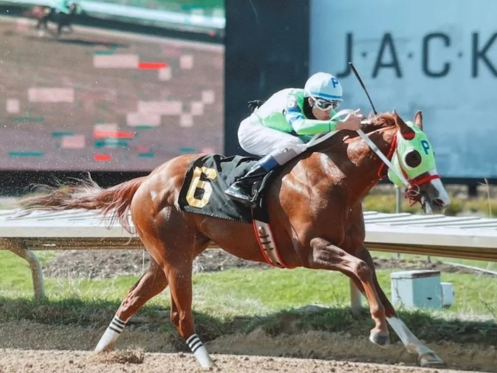 Jose-Armando-Bracho-esta-imparable-en-Thistledown.jpg