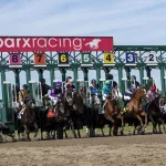 Parx Racing estrenará césped – Líder en deportes