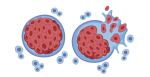¿Nanoparticulas-para-atacar-el-cancer-con-mayor-precision-–-Salud.png