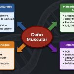Biomarcadores de daño muscular – Fisiología del Ejercicio by Dr. López Chicharro