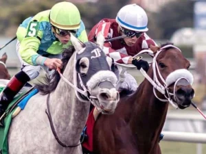Los-hermanos-Ortiz-arrasan-en-el-circuito-de-Saratoga.jpg
