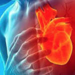 Un tratamiento con omega-3 purificado reduce el daño cardíaco tras un infarto al actuar directamente sobre el corazón – Salud y Medicina
